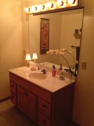 GuestBathBefore