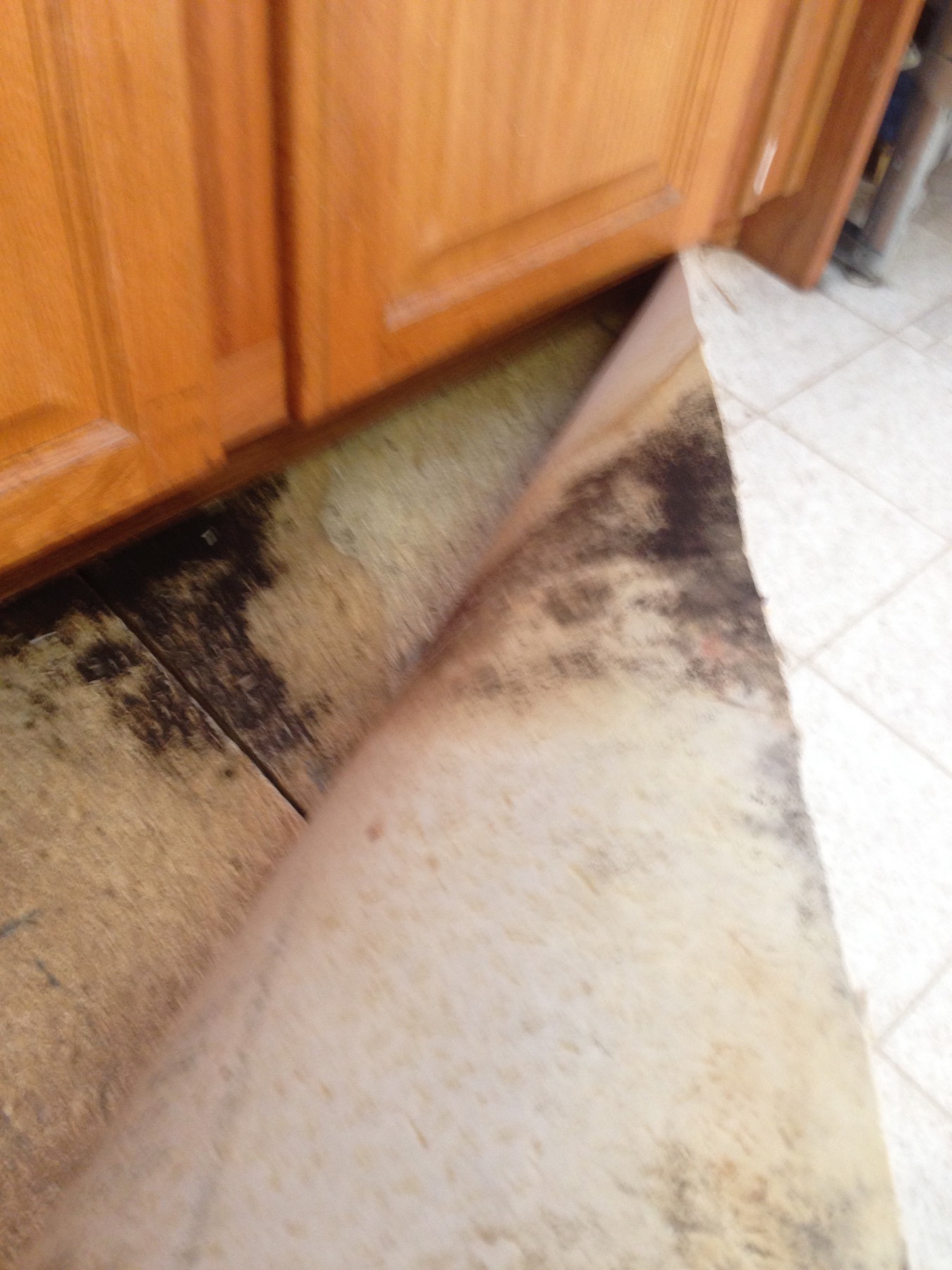 Causes of Water Damage in Kitchen